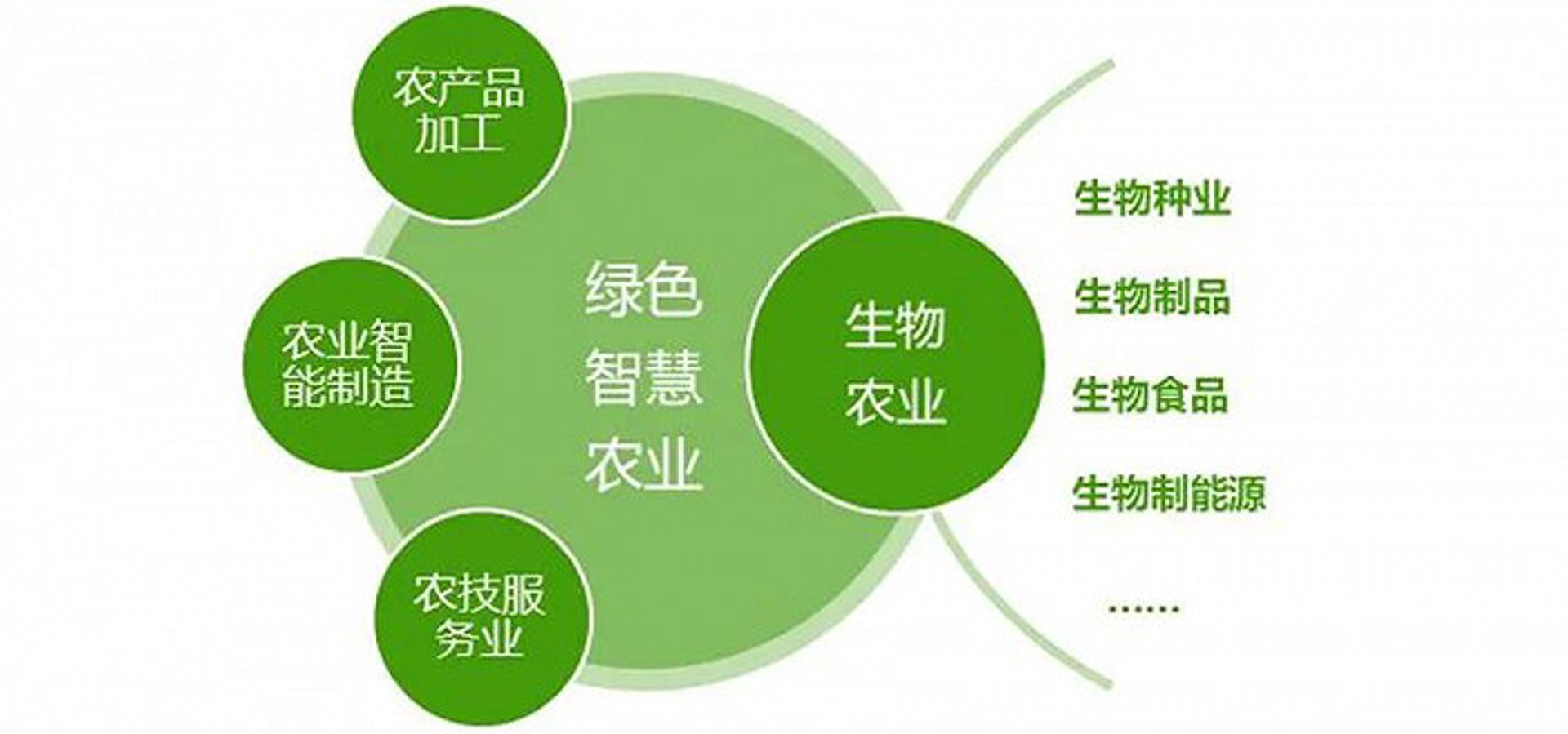 优佳生物科技