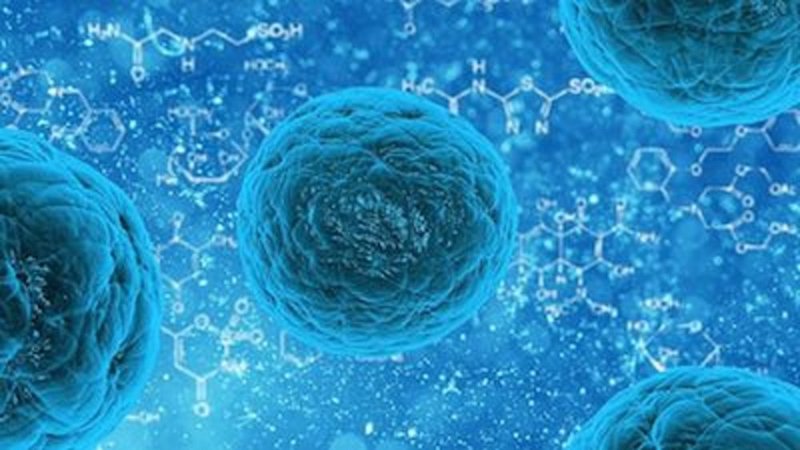 生物科技公司的创新之路:引领未来发展的新引擎