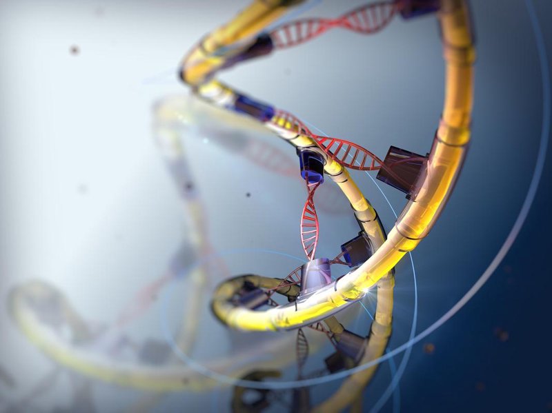 生物科技公司的未来之路:创新与挑战并存